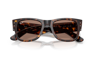 Ray-Ban 0RB0840S 902/1A 51