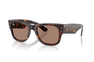 Ray-Ban 0RB0840S 902/1A 51