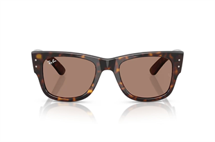 Ray-Ban 0RB0840S 902/1A 51