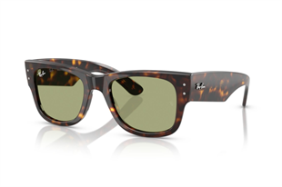 Ray-Ban 0RB0840S 902/4E 51