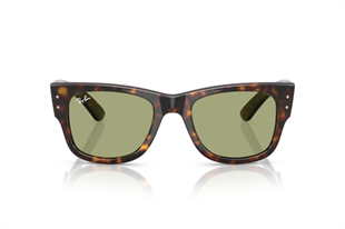 Ray-Ban 0RB0840S 902/4E 51