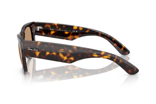 Ray-Ban 0RB0840S 902/53 51