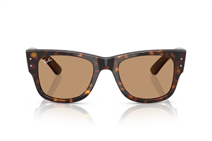 Ray-Ban 0RB0840S 902/53 51