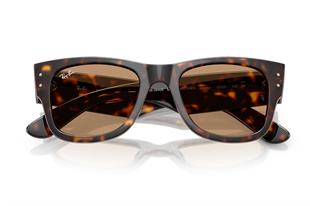 Ray-Ban 0RB0840S 902/53 51