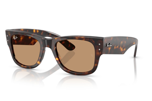 Ray-Ban 0RB0840S 902/53 51