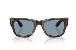 Ray-Ban 0RB0840S 902/56 51