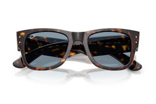 Ray-Ban 0RB0840S 902/56 51