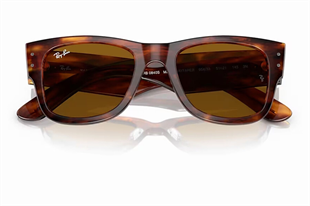 Ray-Ban 0RB0840S 954/33 51 Unisex Güneş Gözlüğü
