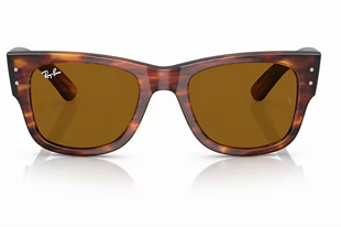 Ray-Ban 0RB0840S 954/33 51 Unisex Güneş Gözlüğü