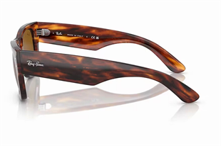 Ray-Ban 0RB0840S 954/33 51 Unisex Güneş Gözlüğü