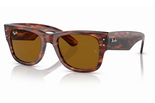 Ray-Ban 0RB0840S 954/33 51 Unisex Güneş Gözlüğü
