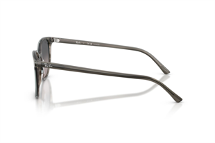 Ray-Ban 0RB2197 1438M3 52