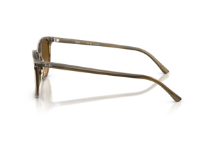 Ray-Ban 0RB2197 1439M2 52