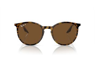 Ray-Ban 0RB2204 139357 51 Unisex Güneş Gözlüğü