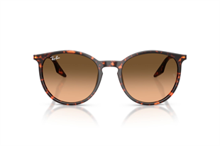 Ray-Ban 0RB2204 14293B 51 Unisex Güneş Gözlüğü