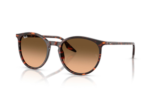 Ray-Ban 0RB2204 14293B 51 Unisex Güneş Gözlüğü