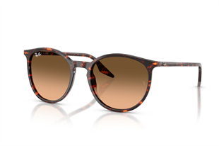 Ray-Ban 0RB2204 14293B 54 Unisex Güneş Gözlüğü