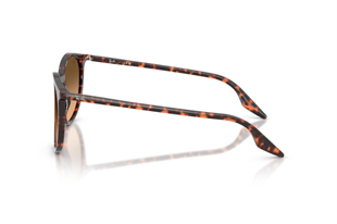Ray-Ban 0RB2204 14293B 54 Unisex Güneş Gözlüğü