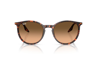 Ray-Ban 0RB2204 14293B 54 Unisex Güneş Gözlüğü