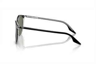 Ray-Ban 0RB2204 919/58 54 Unisex Güneş Gözlüğü