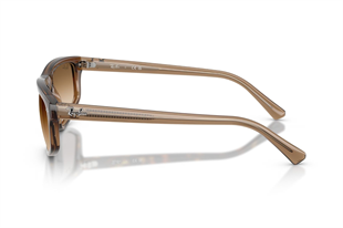 Ray-Ban 0RB2225 664051 59