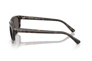 Ray-Ban 0RB2225 710/B1 59
