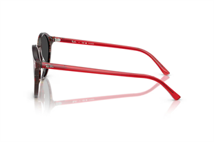 Ray-Ban 0RB2230 141948 51 Unisex Güneş Gözlüğü