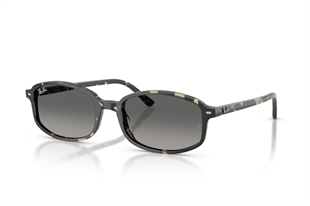 Ray-Ban 0RB2232 133371 54