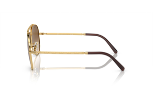 Ray-Ban 0RB3625 001/51 58 Unisex Güneş Gözlüğü