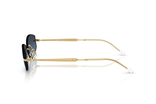 Ray-Ban 0RB3792 001/4C 55