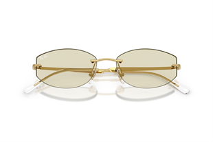 Ray-Ban 0RB3792 001/MG 55
