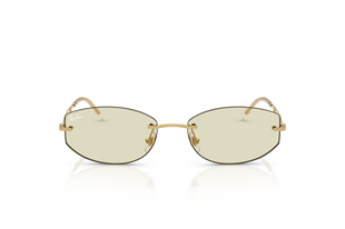 Ray-Ban 0RB3792 001/MG 55