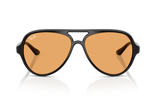 Ray-Ban 0RB4125 601/33 59