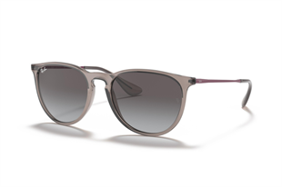 Ray-Ban 0RB4171 65138G 54 Unisex Güneş Gözlüğü
