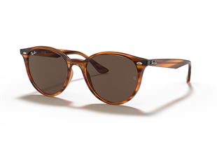 Ray-Ban 0RB4305 820/73 53 Unisex Güneş Gözlüğü