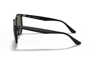 Ray-Ban 0RB4306 601/9A 54