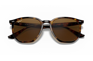 Ray-Ban 0RB4306 710/83 54
