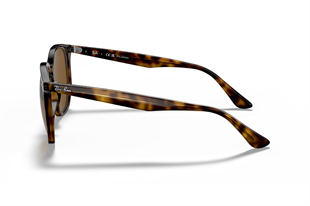 Ray-Ban 0RB4306 710/83 54
