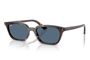 Ray-Ban 0RB4456 135980 53