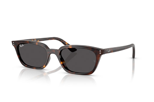 Ray-Ban 0RB4456 135987 50 Kadın Güneş Gözlüğü