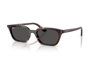 Ray-Ban 0RB4456 135987 53 Kadın Güneş Gözlüğü