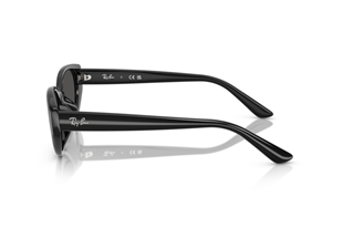 Ray-Ban 0RB4457D 667787 55 Kadın Güneş Gözlüğü
