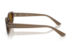 Ray-Ban 0RB4457D 677983 55