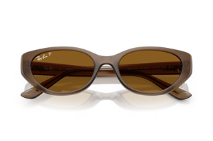 Ray-Ban 0RB4457D 677983 55