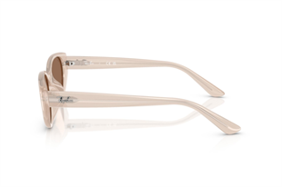 Ray-Ban 0RB4457D 678673 55 Kadın Güneş Gözlüğü