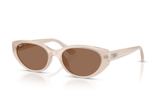 Ray-Ban 0RB4457D 678673 55 Kadın Güneş Gözlüğü