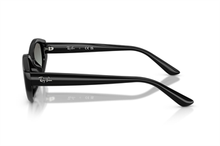 Ray-Ban 0RB4473D 667711 56