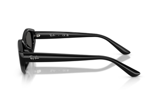 Ray-Ban 0RB4473D 667787 56