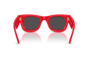 Ray-Ban 0RB4940 683187 47 Unisex Güneş Gözlüğü