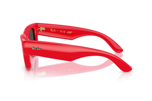 Ray-Ban 0RB4940 683187 47 Unisex Güneş Gözlüğü